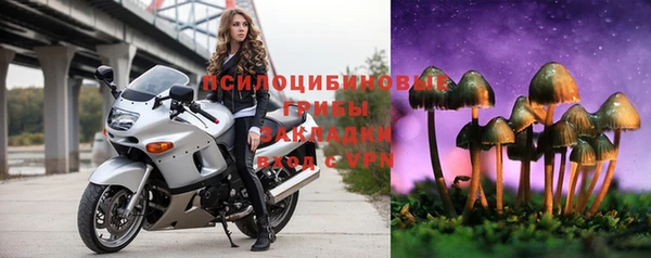 кокс Аркадак